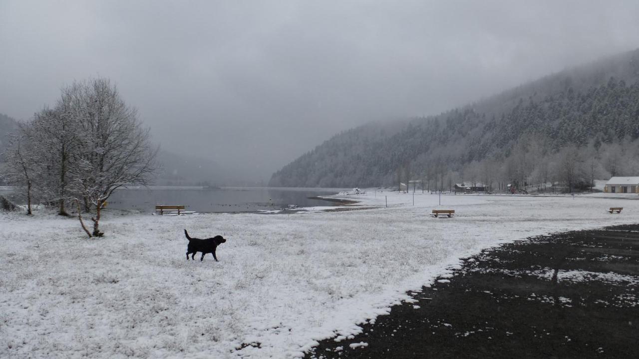 Gite Appartement Du Pays Des Lacs De Pierre Percee Celles-sur-Plaine Zewnętrze zdjęcie